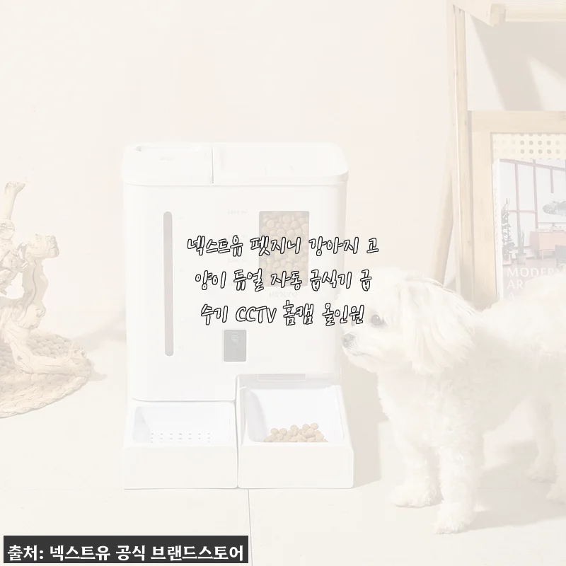 넥스트유 펫지니 강아지 고양이 듀얼 자동 급식기 사용후기: 집사 생활이 한결 편해졌어요