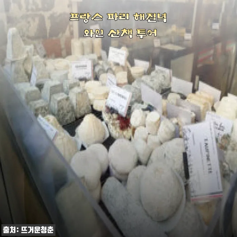 프랑스 파리 해질녘 와인 산책 투어 사용 후기와 상세 소개