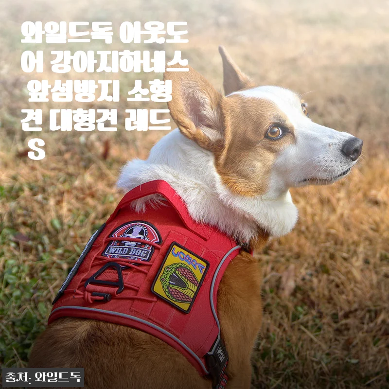와일드독 아웃도어 강아지하네스 앞섬방지 소형견 대형견 레드 S 사용후기