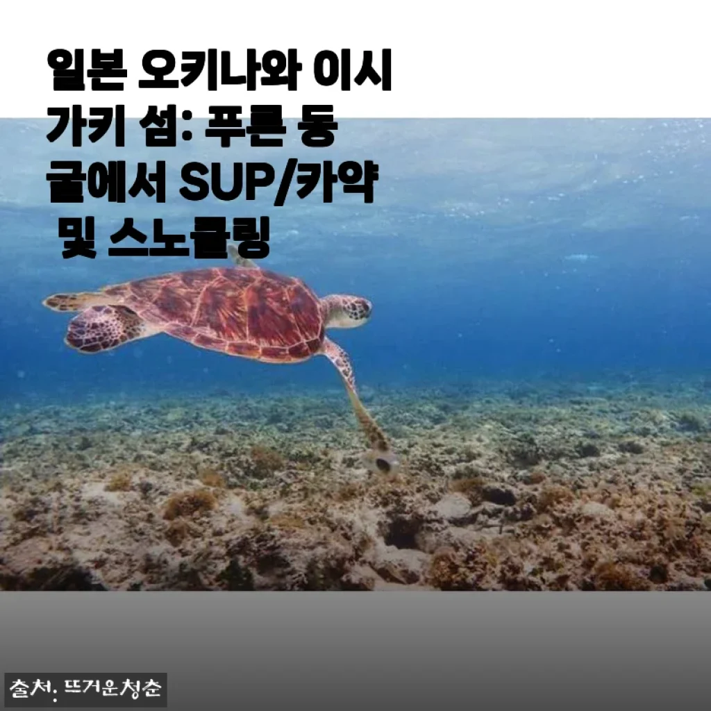 일본 오키나와 이시가키 섬 푸른 동굴에서 SUP와 카약, 스노클링 체험 후기