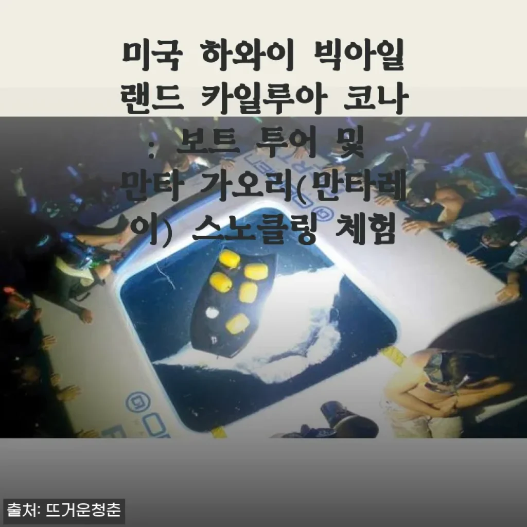 하와이 빅아일랜드 카일루아 코나 만타 가오리 스노클링 체험 후기