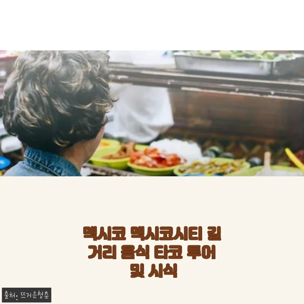 멕시코 멕시코시티 길거리 음식 타코 투어 및 시식 후기