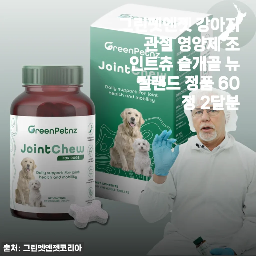 그린펫엔젯 강아지 관절 영양제 조인트츄 사용후기 - 꾸준한 관리로 반려견 건강 지키기