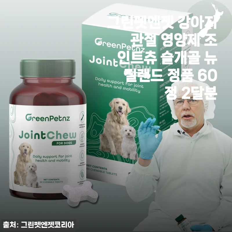그린펫엔젯 강아지 관절 영양제 조인트츄 사용후기 - 꾸준한 관리로 반려견 건강 지키기