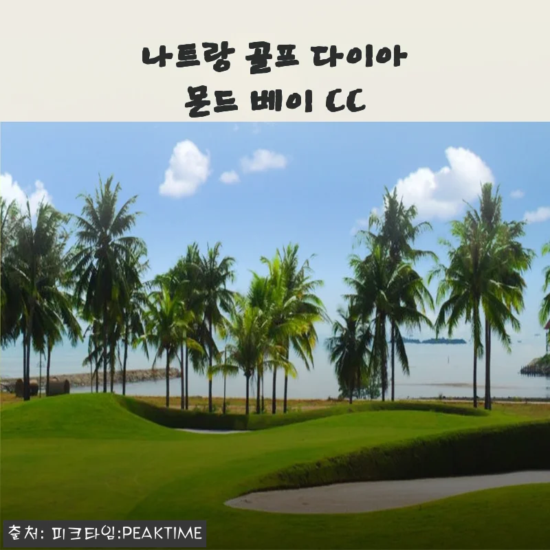나트랑 골프 다이아몬드 베이 CC 이용 후기와 혜택 안내