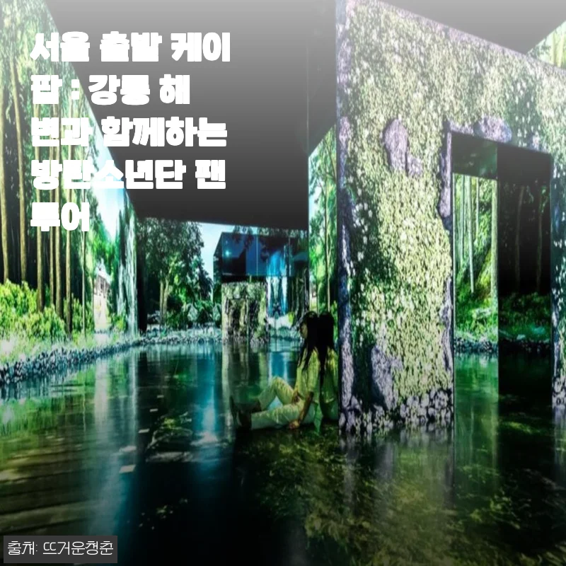 서울 출발 케이팝 강릉 해변 방탄소년단 팬 투어 후기