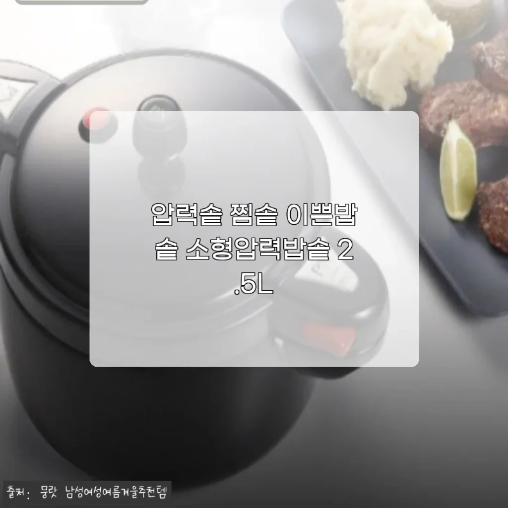 압력솥 찜솥 이쁜밥솥 소형압력밥솥 2.5L 사용후기와 상세 소개
