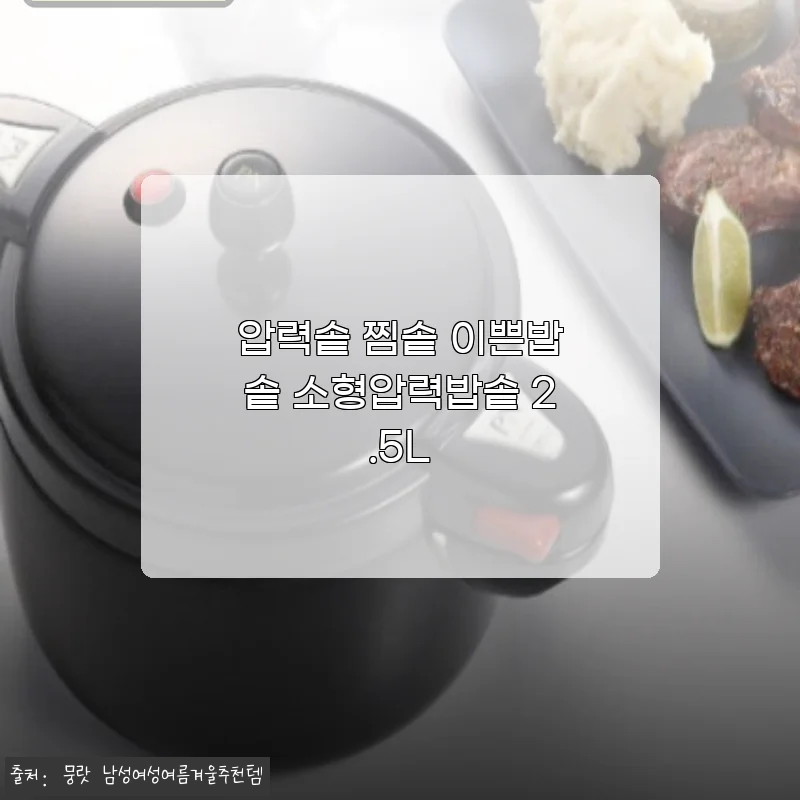 압력솥 찜솥 이쁜밥솥 소형압력밥솥 2.5L 사용후기와 상세 소개