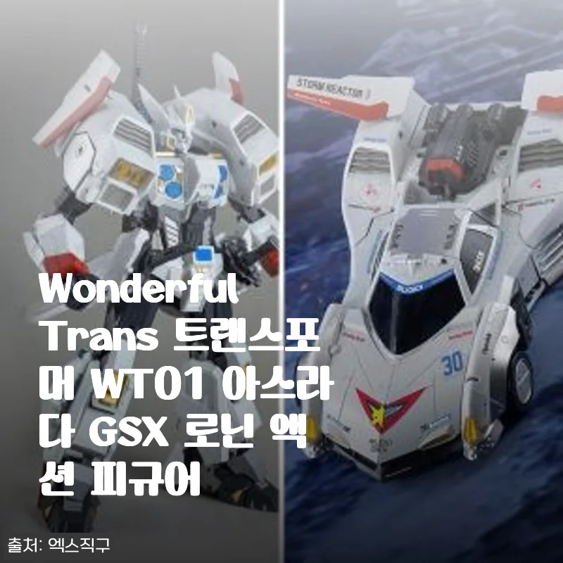 Wonderful Trans 트랜스포머 WT01 아스라다 GSX 로닌 액션 피규어 사용 후기
