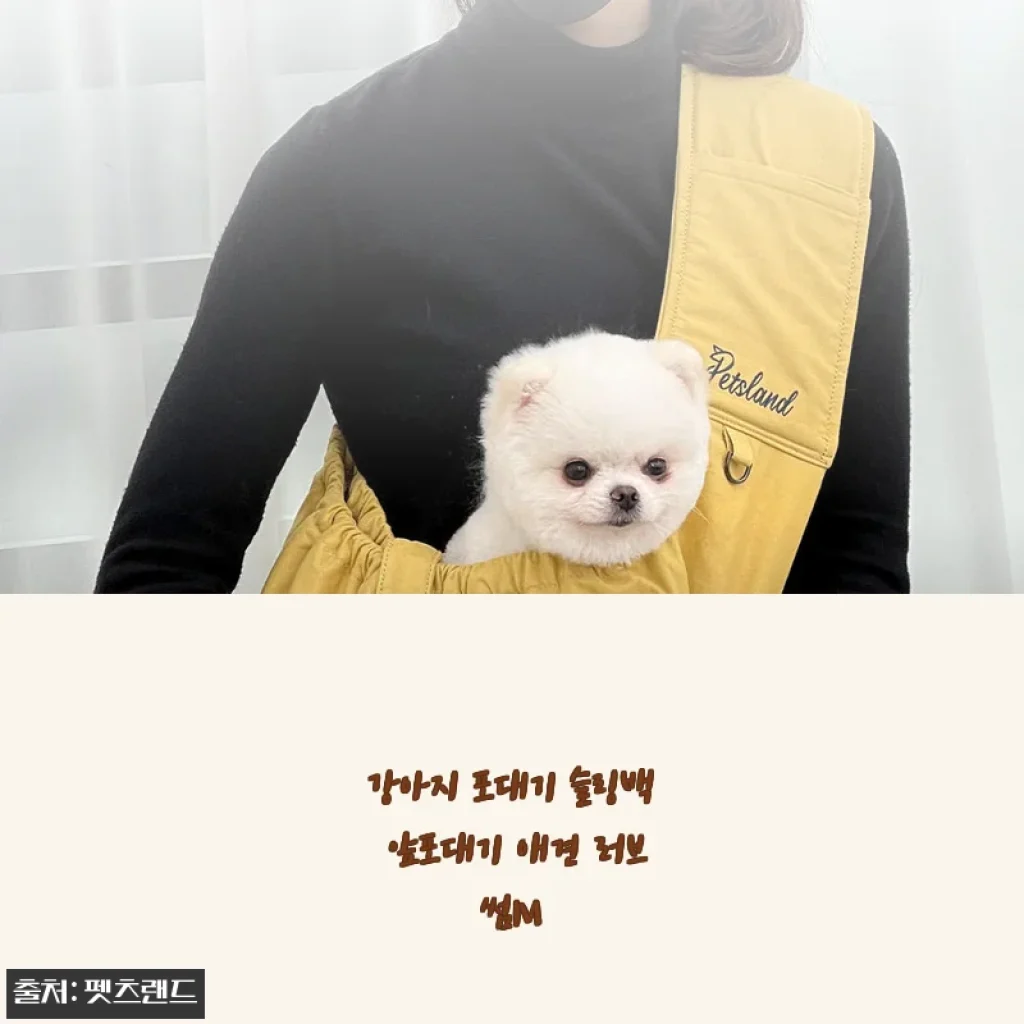 강아지 포대기 슬링백 애견 러브썸M 사용후기 및 상세 소개