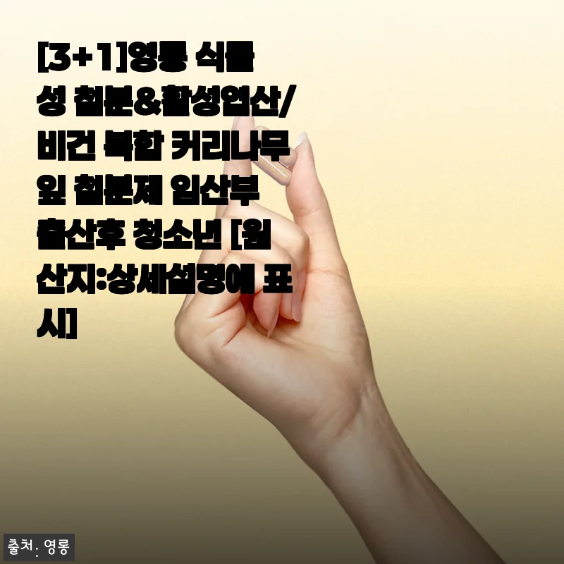 [3+1]영롱 식물성 철분&활성엽산 복합 철분제 사용 후기