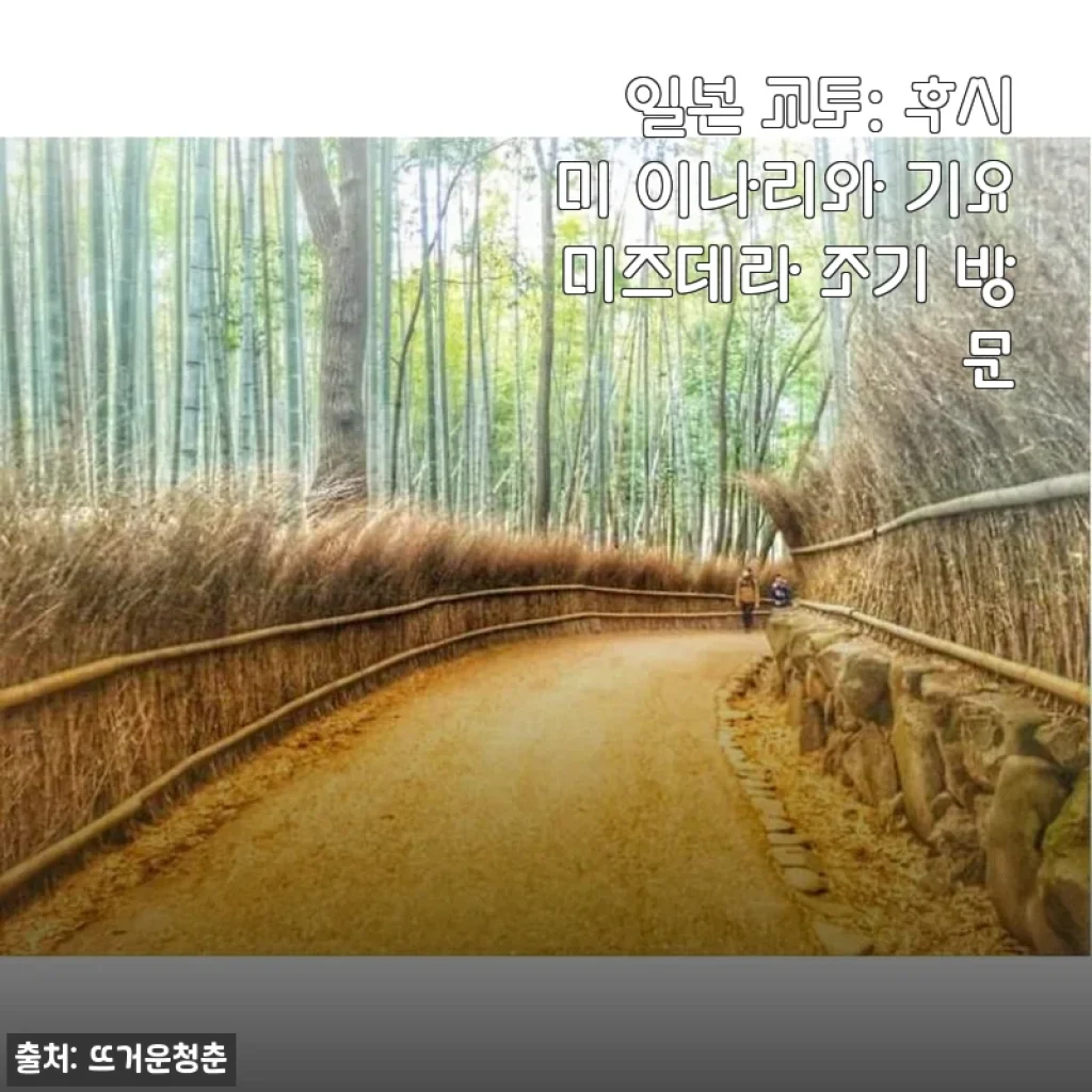 일본 교토 후시미 이나리와 기요미즈데라 조기 방문 후기: 평화로운 아침의 매력