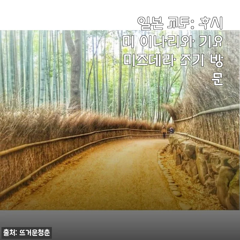 일본 교토 후시미 이나리와 기요미즈데라 조기 방문 후기: 평화로운 아침의 매력