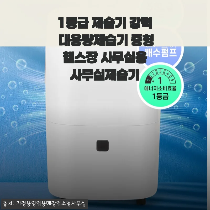 1등급 대용량 제습기 사용후기: 헬스장과 사무실에 딱 맞는 중형 제습기