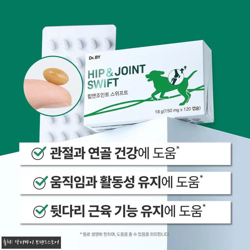 우리 노견 봄이의 절뚝임이 달라진 비 관련 이미지 1