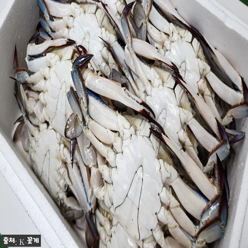 인천 어부 직판 급냉 숫꽃게 3kg, 관련 이미지 2