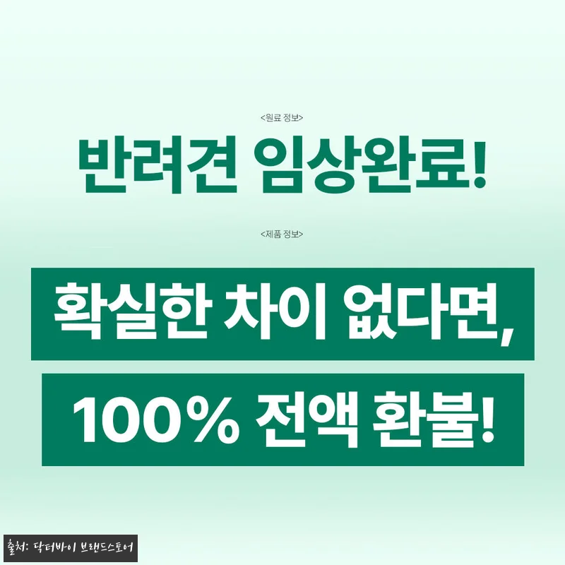 우리 노견 봄이의 절뚝임이 달라진 비 관련 이미지 2