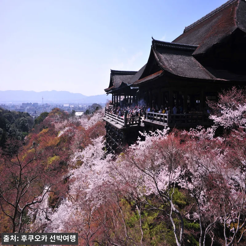 팬스타미라클호 오사카 배편 팬스타크루 관련 이미지 2