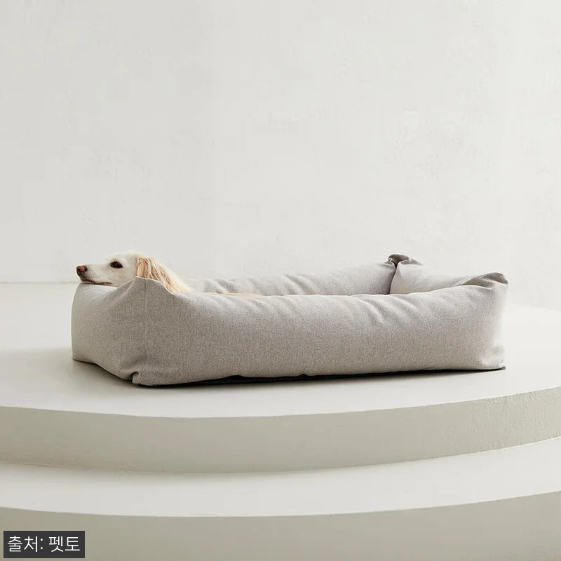 2주 고민 끝에 만난 펫토 알러프리 관련 이미지 4