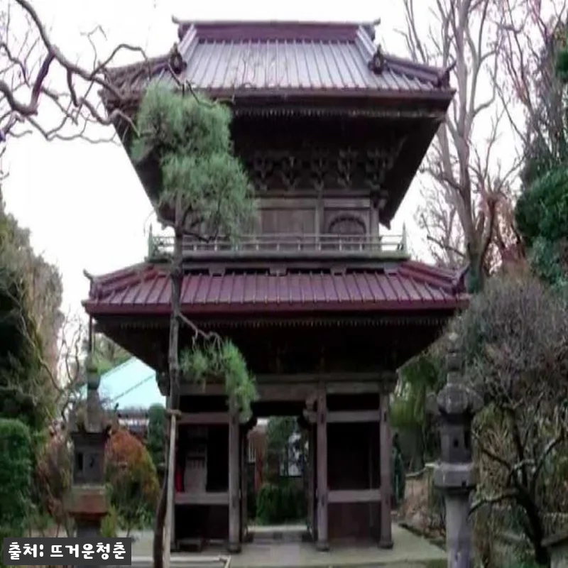 가마쿠라 여행 로망, 인력거 체험 솔 관련 이미지 4