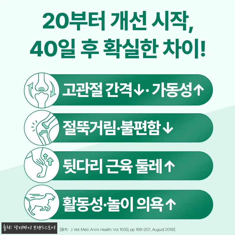 우리 노견 봄이의 절뚝임이 달라진 비 관련 이미지 7