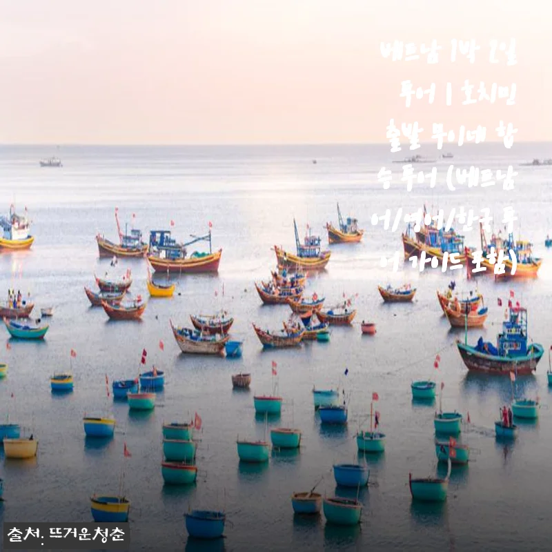 베트남 무이네 1박2일 투어, 호치민 출발 합승 후기 솔직하게 써볼게요
