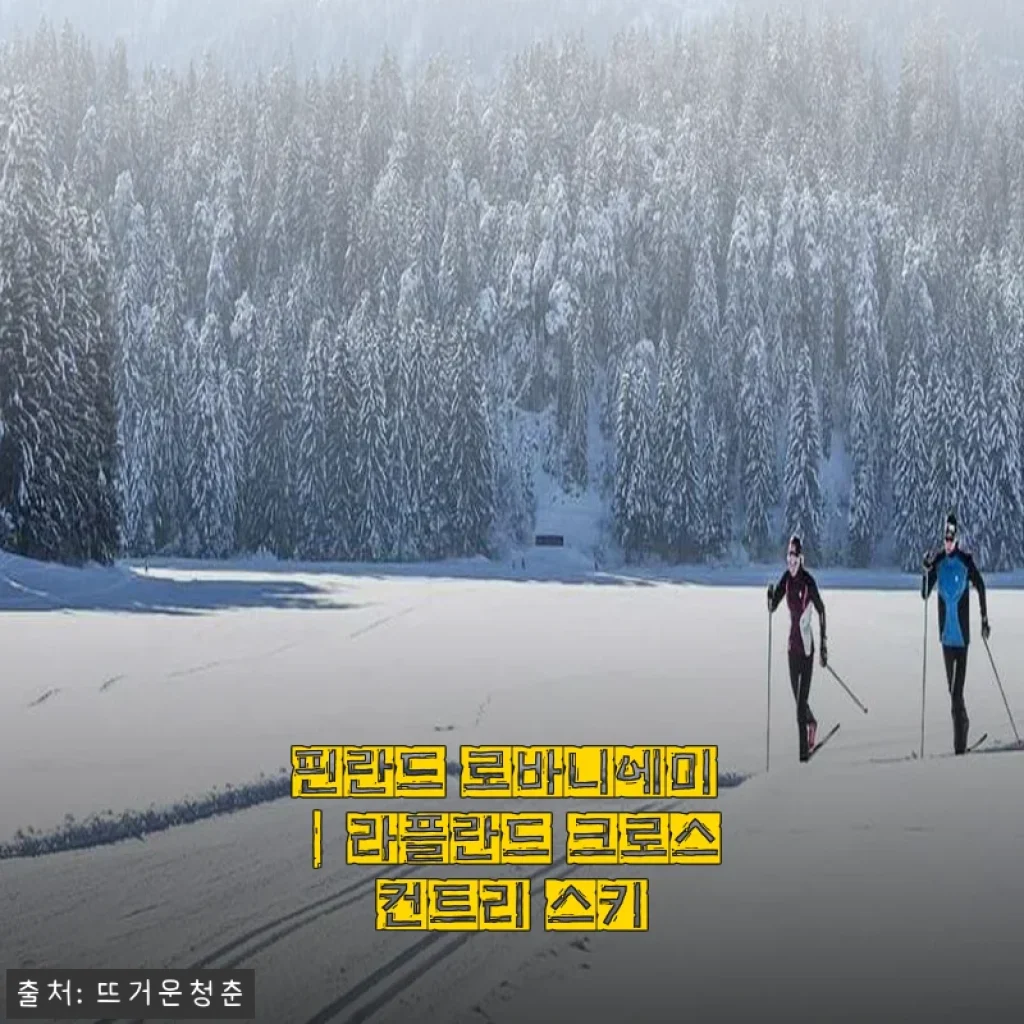 핀란드 로바니에미 라플란드 크로스컨트리 스키, 눈 덮인 숲을 달린 하루
