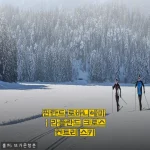 핀란드 로바니에미 라플란드 크로스컨트리 스키, 눈 덮인 숲을 달린 하루