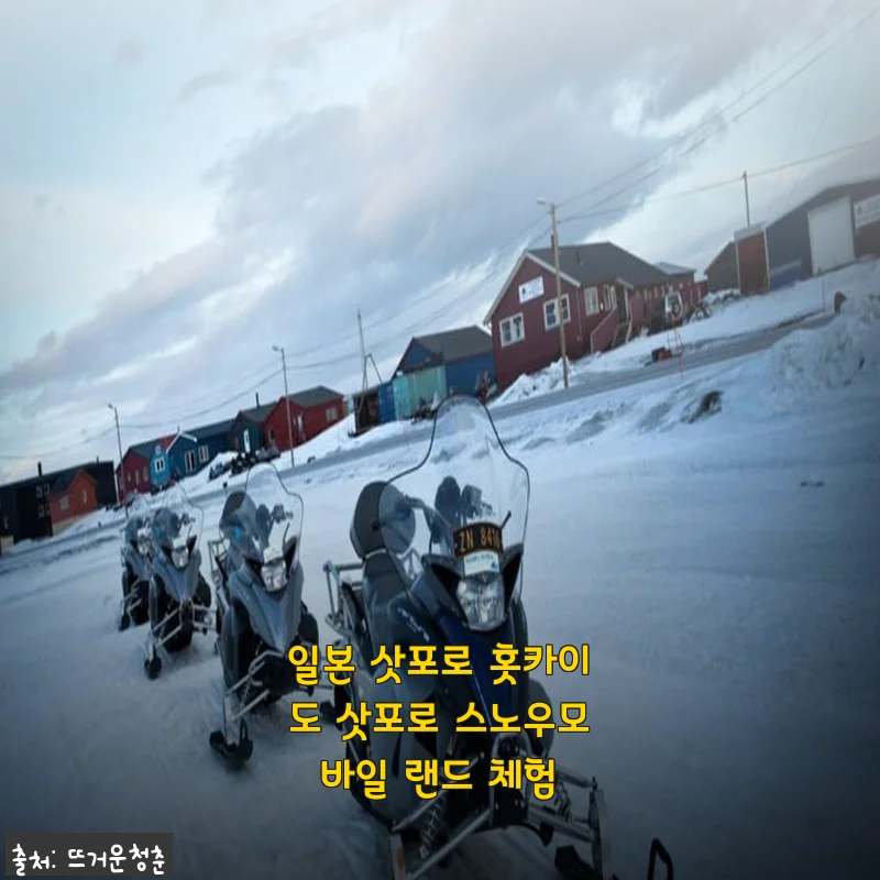 겨울 삿포로 여행 필수 체험, 스노우모빌 타고 달린 홋카이도 설원 후기
