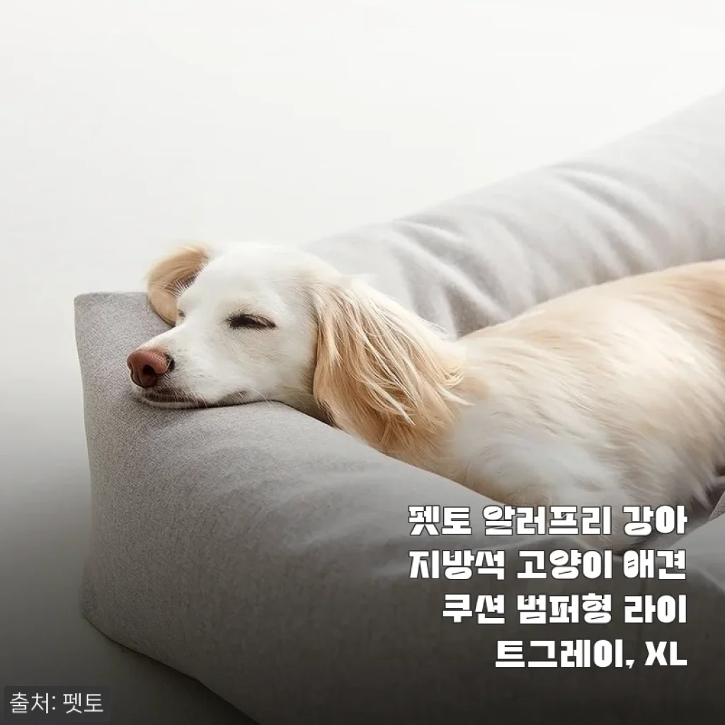 2주 고민 끝에 만난 펫토 알러프리 방석, 우리 비숑이 달라졌어요