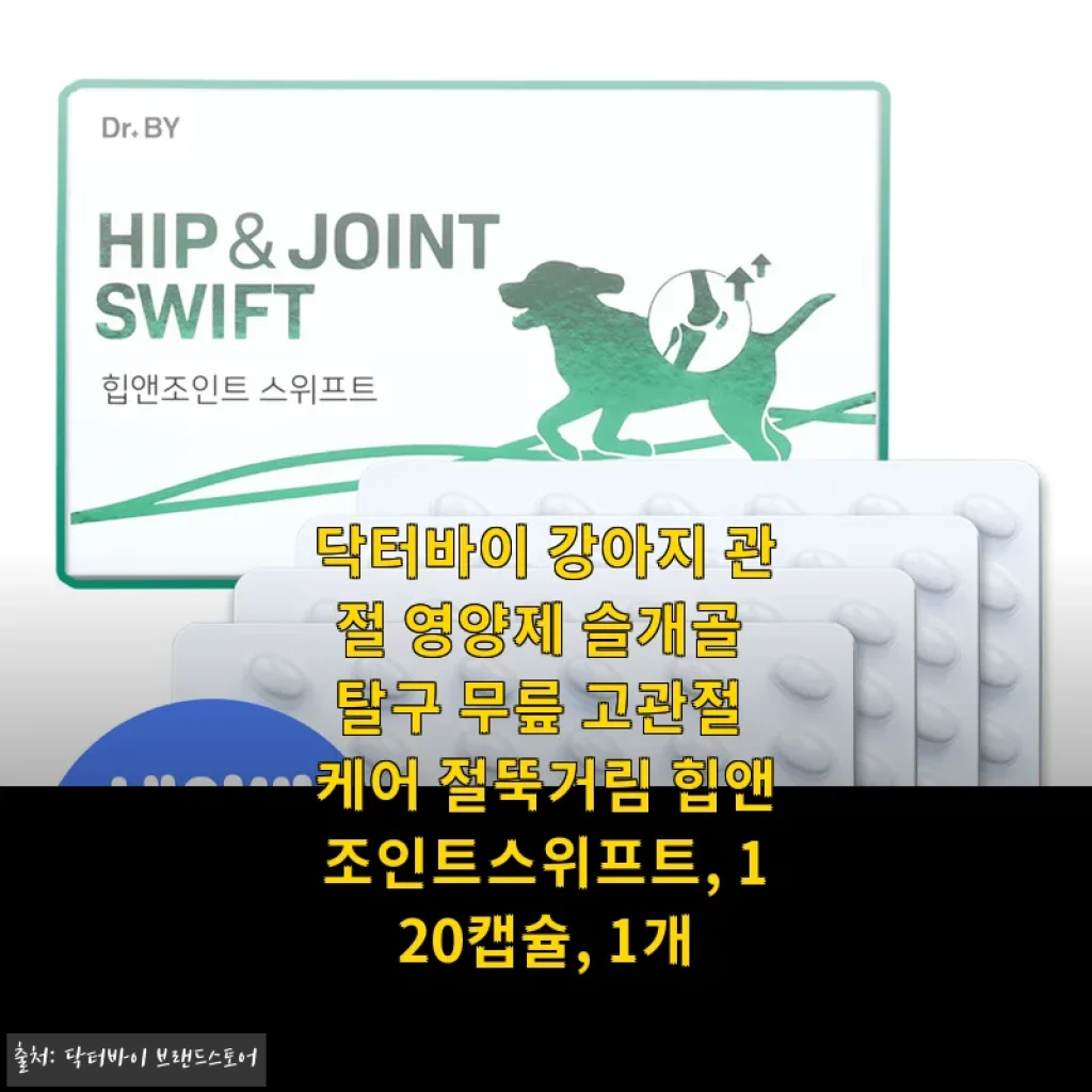 우리 노견 봄이의 절뚝임이 달라진 비결, 닥터바이 힙앤조인트 스위프트 4달 차 후기