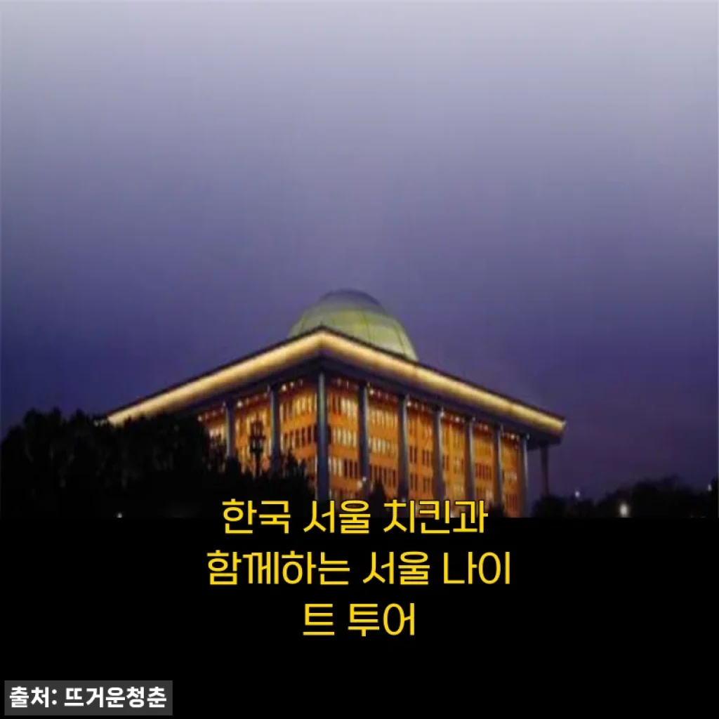 서울 야경과 바삭한 치맥, ‘서울 나이트 투어’에 다녀오다