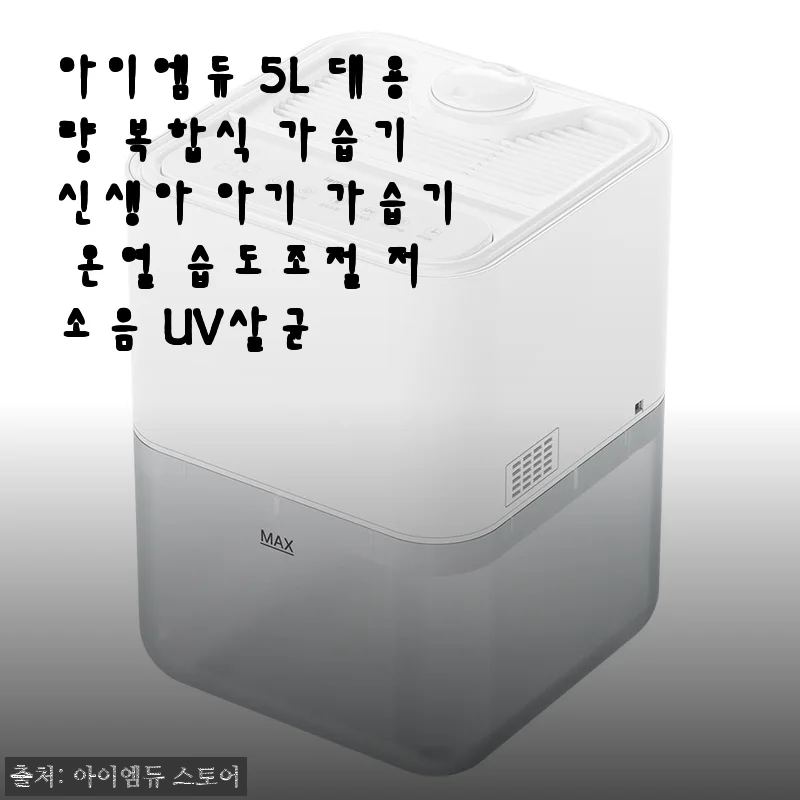 아이엠듀 5L 대용량 복합식 가습기, 신생아 아기 방에 두 달 써보니