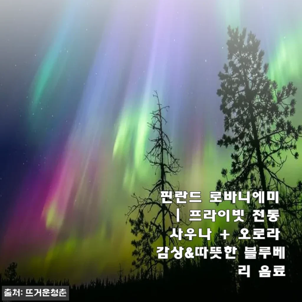 핀란드 로바니에미에서 즐긴 프라이빗 사우나와 오로라, 잊지 못할 하룻밤 이야기