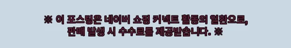 레이윙 디스커버리 엔트리 F20e 5.2Ah, 20인치 접이식 전기자전거 할인 혜택 정리 6 이해관계문구