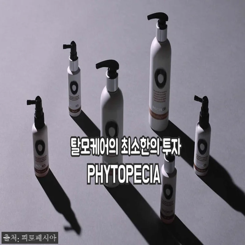 피토페시아 3개월프로젝트 플러스 헤어 관련 이미지 1