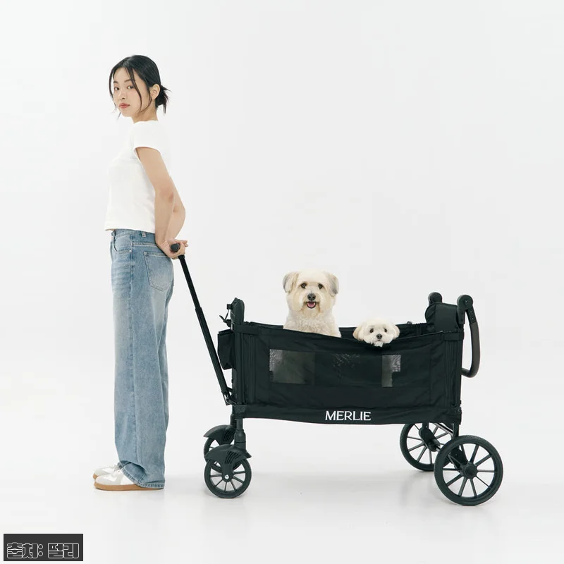 멀리 저상형 강아지유모차 웨건 MW6 관련 이미지 2