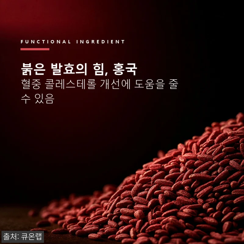 4+2 홍국트리오 메가 60정 6개, 콜레스테롤·중성지방 관리 루틴으로 살펴본 구매 전 후기 12 4+2 홍국트리오 메가 60정 6개, 관련 이미지 3