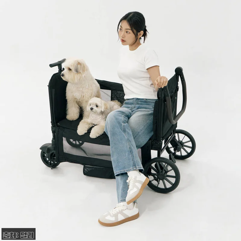 멀리 저상형 강아지유모차 웨건 MW6 관련 이미지 3