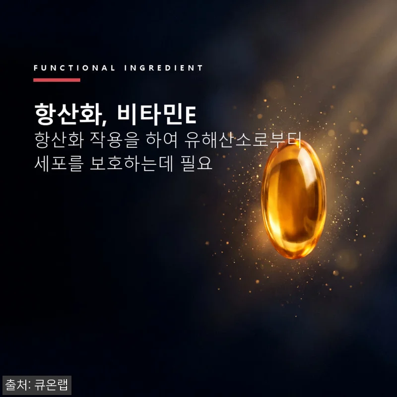 4+2 홍국트리오 메가 60정 6개, 콜레스테롤·중성지방 관리 루틴으로 살펴본 구매 전 후기 13 4+2 홍국트리오 메가 60정 6개, 관련 이미지 4