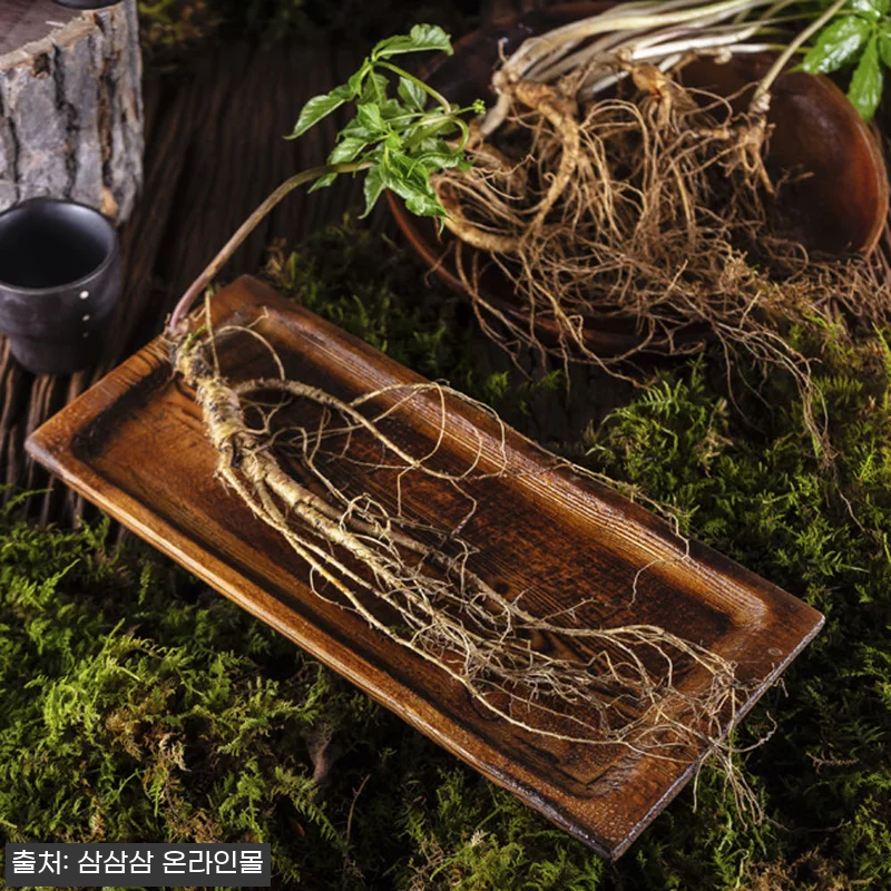 10년근 최상품 3뿌리 산양산삼, 중 관련 이미지 4