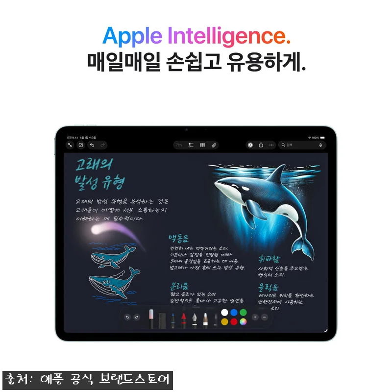 애플 아이패드 에어 13 M4 512 관련 이미지 4