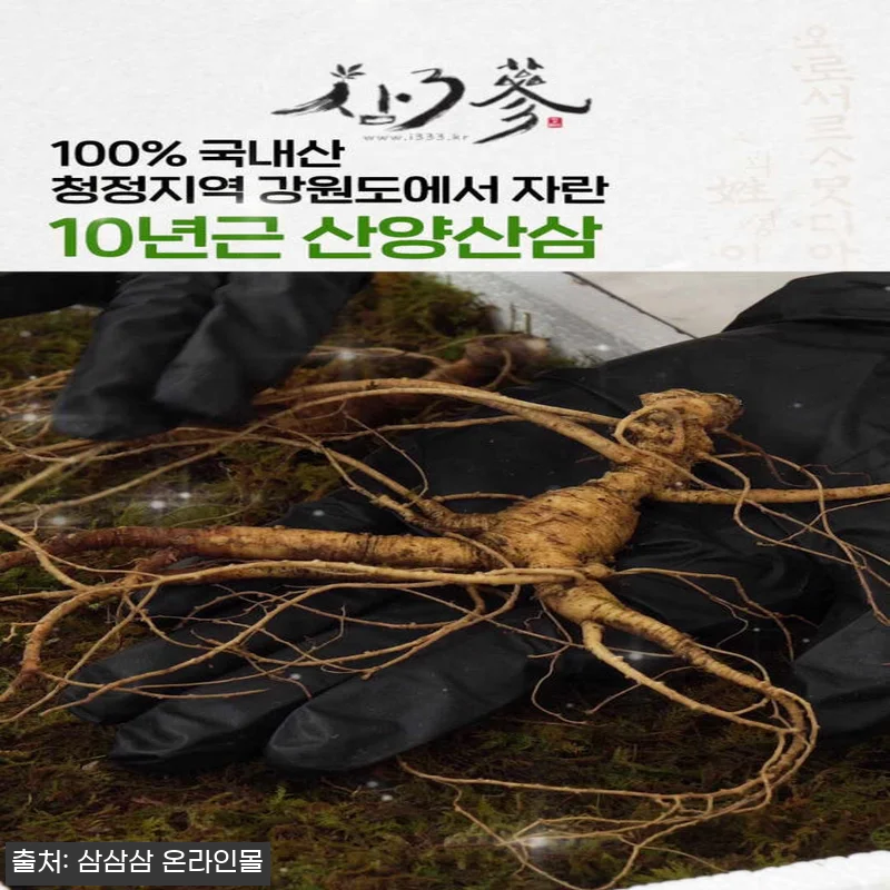 10년근 최상품 3뿌리 산양산삼, 중 관련 이미지 5