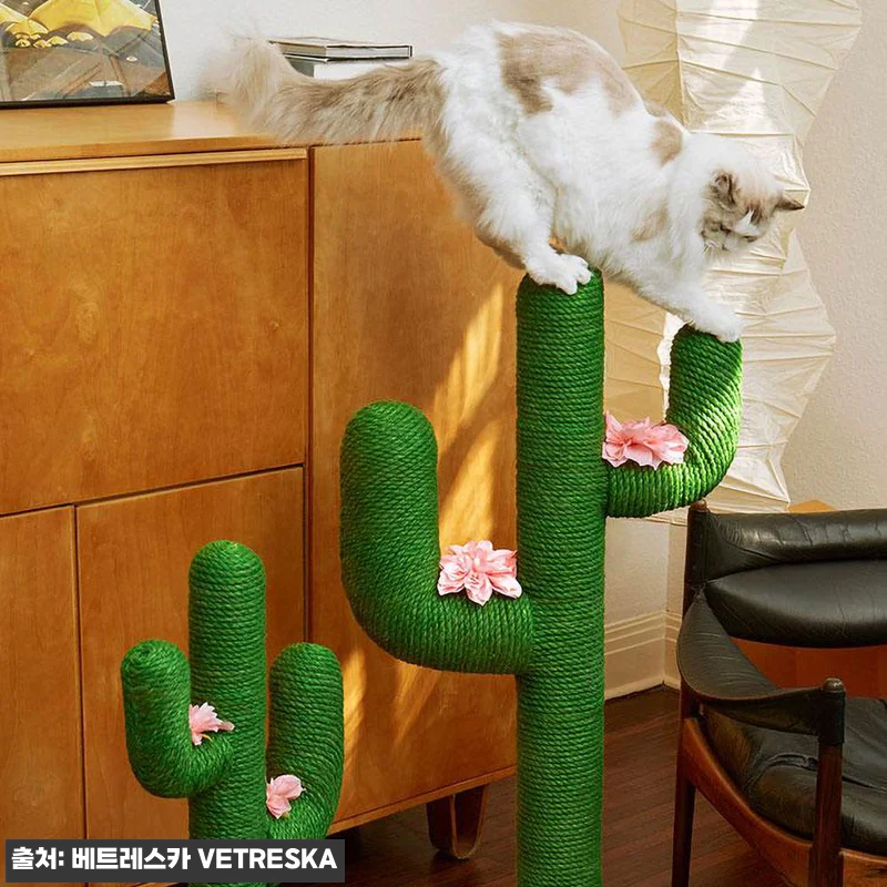모몽 VETRESKA 선인장 수직스크 관련 이미지 7